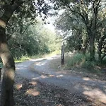 Mas Provençal De Charme Au Milieu Des Oliviers Villa