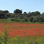 Mas Provençal De Charme Au Milieu Des Oliviers Boisseron