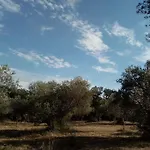 Villa Mas Provençal De Charme Au Milieu Des Oliviers