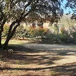 Villa Mas Provençal De Charme Au Milieu Des Oliviers