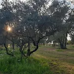 Villa Mas Provençal De Charme Au Milieu Des Oliviers Boisseron
