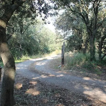 Mas Provencal De Charme Au Milieu Des Oliviers Villa