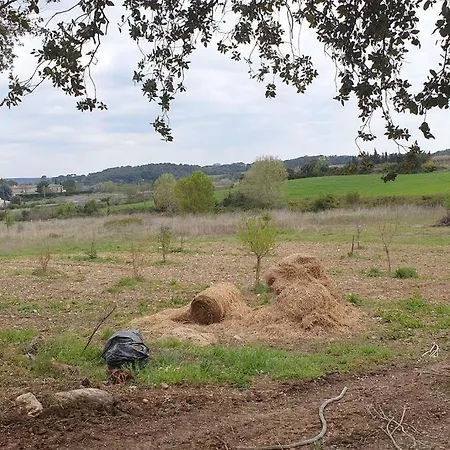 Mas Provencal De Charme Au Milieu Des Oliviers Villa *