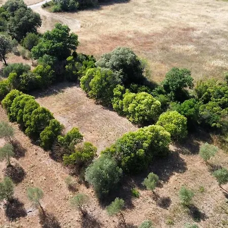 Villa Mas Provencal De Charme Au Milieu Des Oliviers Boisseron