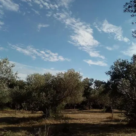 别墅 Mas Provencal De Charme Au Milieu Des Oliviers