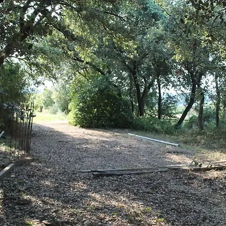 Mas Provencal De Charme Au Milieu Des Oliviers Villa