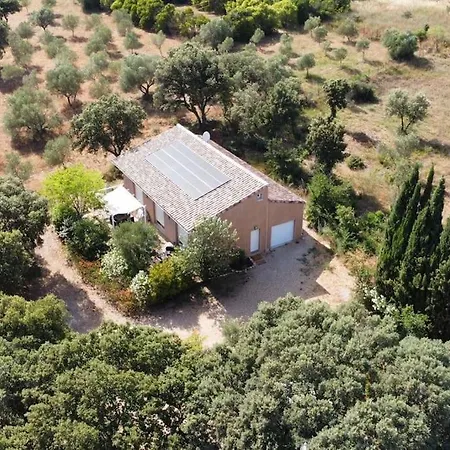 Villa Mas Provençal De Charme Au Milieu Des Oliviers Boisseron